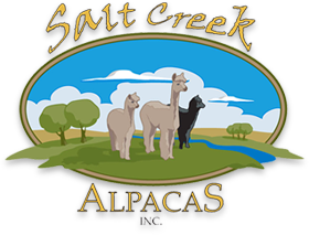 Salt Creek Alpacas - An alpaca farm in Farmer City, IL